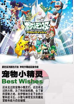 宠物小精灵BW海报