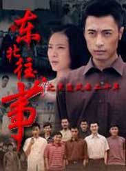 东北往事之黑道风云20年海报