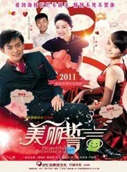 美丽誓言海报