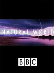 BBC自然世界海报