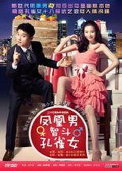 凤凰男智斗孔雀女海报