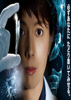 科搜研之女 第十二季海报