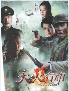 天火行动海报