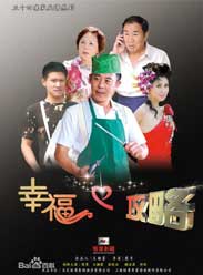 幸福攻略海报