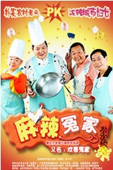 麻辣冤家海报