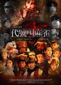 代号叫麻雀海报