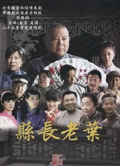 知县叶光明/土匪传奇海报