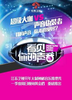 看见你的爱国语版