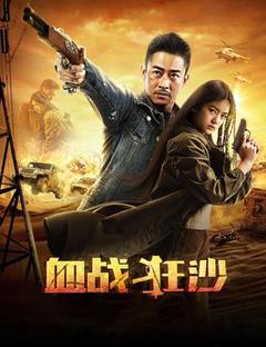 血战狂沙海报