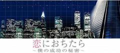 坠入爱河~我成功的秘密海报