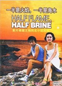 一半是火焰,一半是海水海报