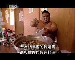 透视内幕：相扑传承物语海报