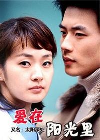 太阳深处/走入阳光/爱在阳光里海报