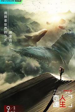 奇遇人生海报