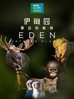 伊甸园：最后的秘境海报