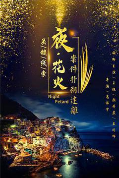 夜花火海报